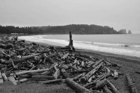 A 2a Beach, praia repleta de troncos em La Push, pequena localidade indígena no litoral do Olympic National Park, no estado de Washington, oeste dos Estados Unidos
